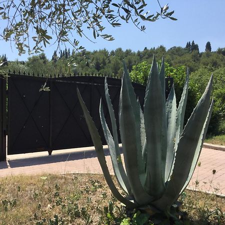 Villa Pax Maris Klek Eksteriør bilde